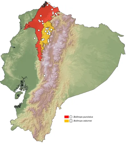 Figure 3. Distribution of Bothrops osbornei and B. punctatus in Ecuador. White dots 