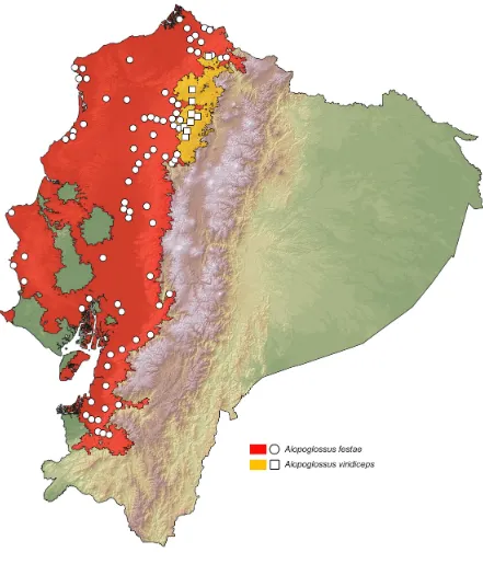 Figure 6. Distribution of Alopoglossus festae and A. viridiceps in Ecuador. White dots 