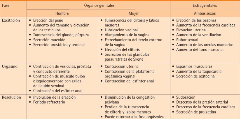 Figura 4:  