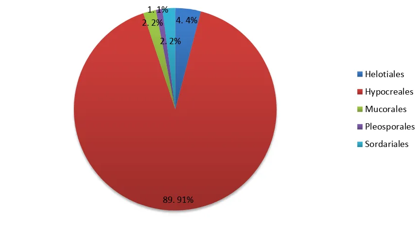 Figure 3. Orders of fungi isolated from passalid guts. Percentage of isolates classified in 