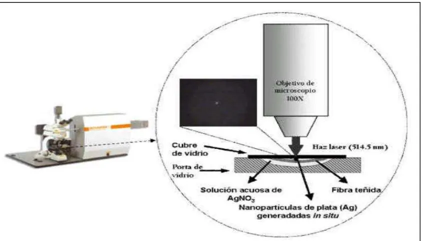 Figura  8. Diseño del Microscopio Confocal (Vargas, 2009). 