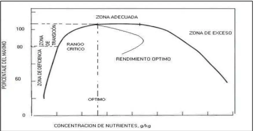 Figura I.10 Representación esquemática de las relaciones entre el rendimiento relativo y la concentración foliar de nutrientes [34]  