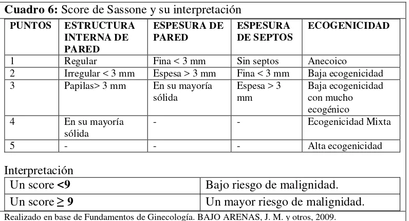 Cuadro 6: Score de Sassone y su interpretación 