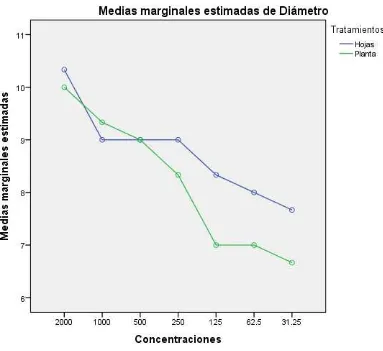 Figura 4.  