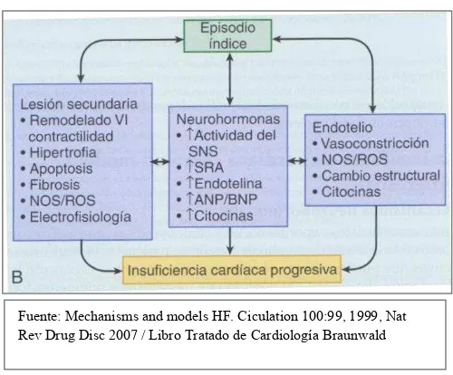 Figura 2. Patogenia de la Insuficiencia Cardiaca 