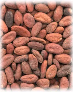 Figura N° 5: Cacao en baba 