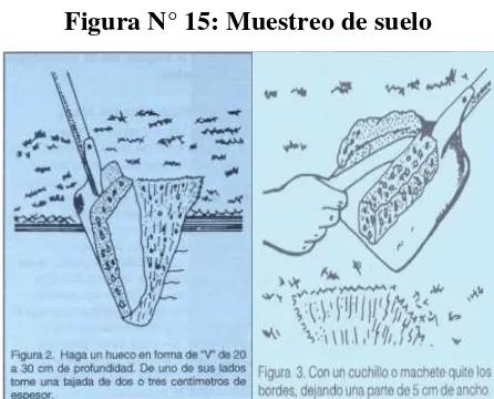 Figura N° 15: Muestreo de suelo 