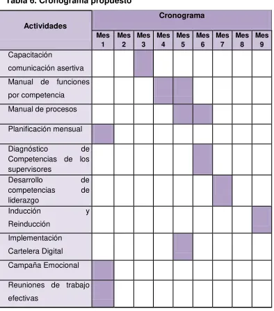 Tabla 6. Cronograma propuesto 