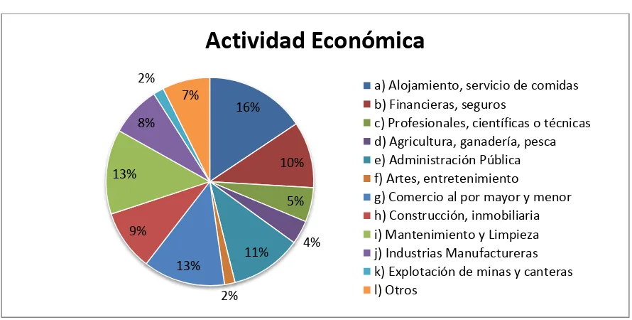 Figura 6: Actividad  económica 