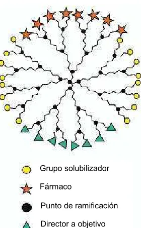 Figura 40. Esquema de un dendrímero multifuncional. (Ref. 116). 
