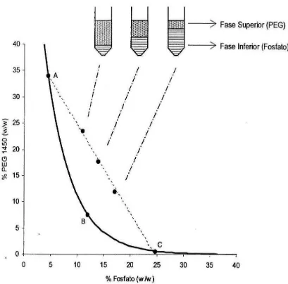 Figura 1.1. Ejemplo representativo de una curva binodal para los sistemas de dos fases acuosas PEG – fosfatos