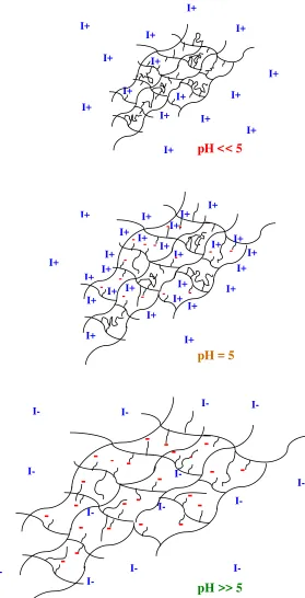 Figure 6.5.1.  Electrostatic Charges of Anionic Hydrogel System and Insulin at  Different pH