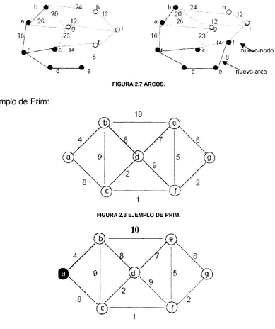 FIGURA 2.8 EJEMPLO DE PRIM.