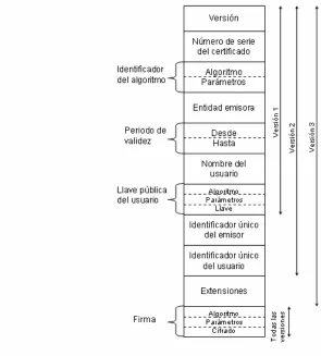 Figura 3-1 Formato del certificado X.509 