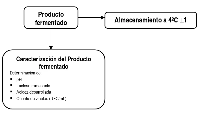Figura 7. Estrategia Experimental Etapa 4:  Caracterización del suero de leche de cabra fermentado por microorganismos probióticos