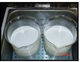Figura 10. Proceso de elaboración del queso fresco de leche de cabra a nivel de laboratorio