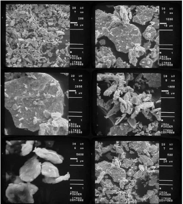 Figure 3.5 Iron Powder Micrographs 