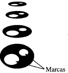 Figura 3.13: Las marcas y el ejemplo de la distorsión que sufren las marcas por laperspectiva