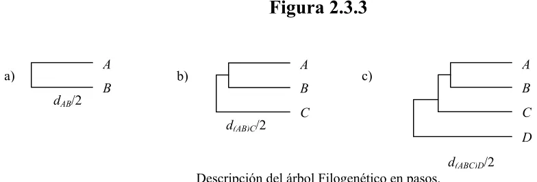 Figura 2.3.3 