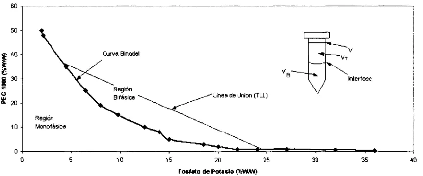 Figura 1.2 Diagrama de fases PEG - fosfatos de potasio