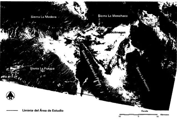 Figura 6. Área de Estudio, Imagen Landsat TM-5 del 15 de octubre de 1995