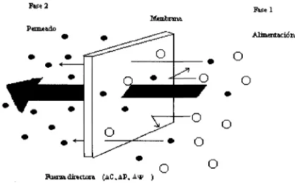 Figura 2.2 Descripción de una membrana semipermeable.