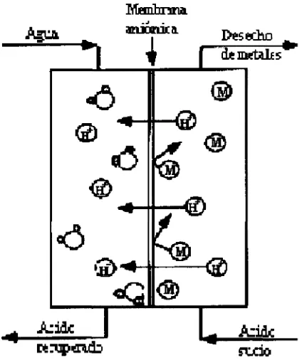 Figura 2.4 Celda de Diíusón-Diálisis.