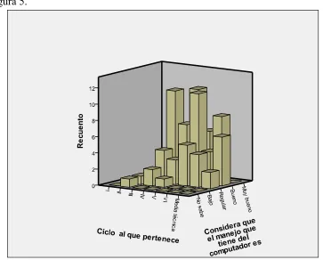 Figura 5. 