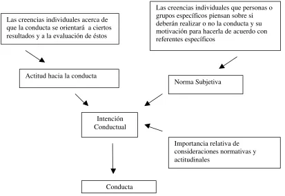 Figura 8. Determinantes de la conducta 