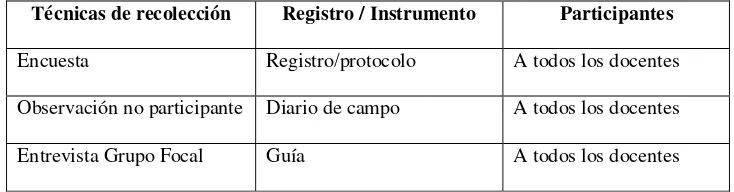 Tabla No. 1.  Proceso de recolección y registro de información.  