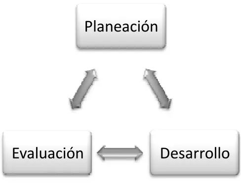 Figura 2.  Funciones del docente. 