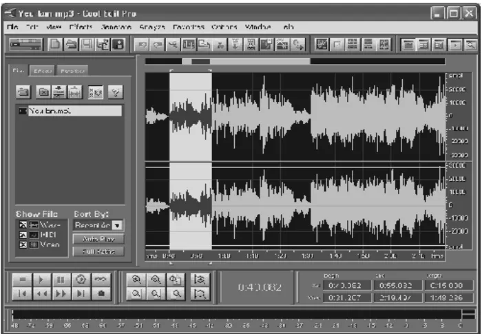 Figura 9. Pantalla del software “Cool Edit Pro”. 