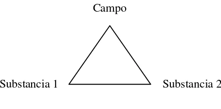 Figura 2.8.- Diagrama Campo-Substancia 