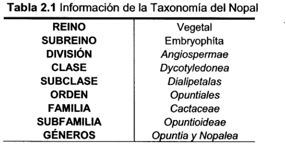 Tabla 2.1 Información de la Taxonomía del Nopal 