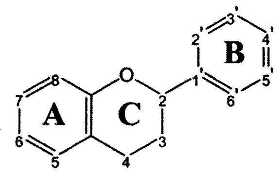 figura 2.2 se representan las estructuras de los flavonoides más ingeridos en la 