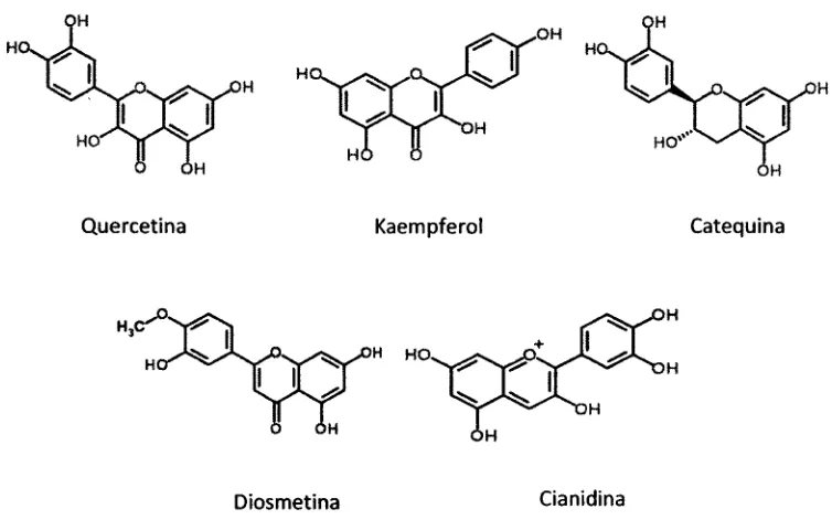 Tabla 2zyxwvutsrqponmlkjihgfedcbaZYXWVUTSRQPONMLKJIHGFEDCBA.4 Clasificación de flavonoides en base a su estructura y miembros más representativos de cada grupo