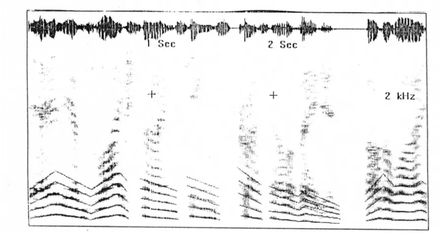 Fig. 2.2 espectrograma de una señal de voz. 