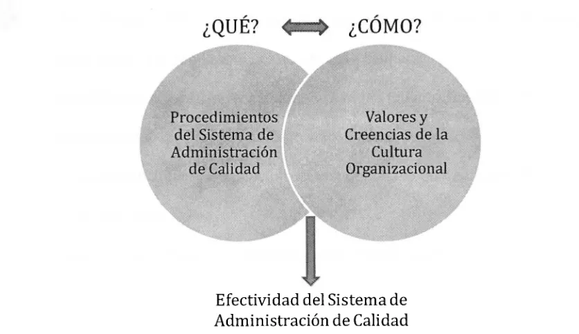 Figura 4. Relación sistemas de administración de calidad y cultura organizacional. 