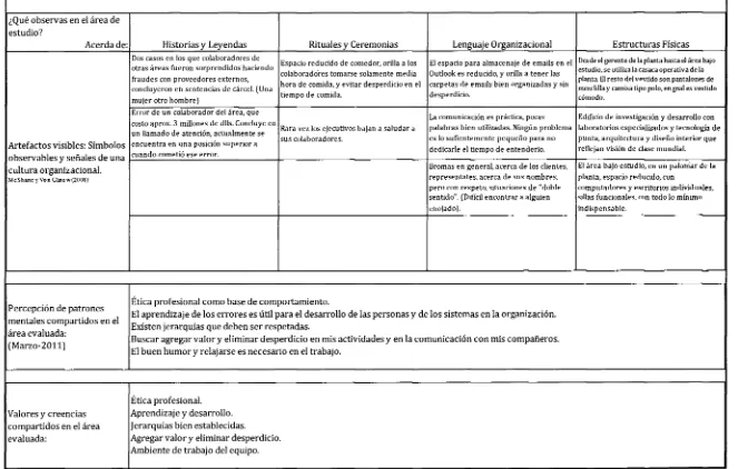 Figura 10. Valores y creencias compartidos en el área. 