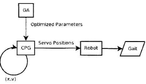 Figure  3.1:  The  controller  overview.  It  links  the  C P G  with  the  robot  in  order  to genérate  a  gait.  The  G A optimize  the  parameters  required  by  the C P G . 