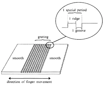 Figure 2.6: Stimulus grating with relevant physical parameters indicated [4]. 