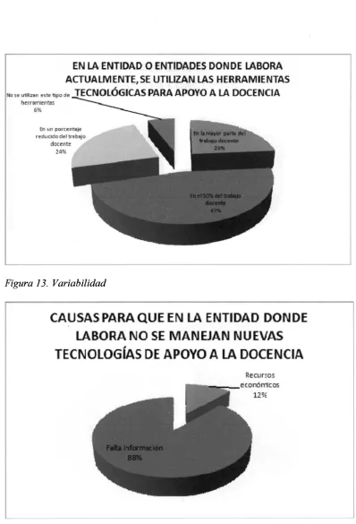 Figura 13. Variabilidad 