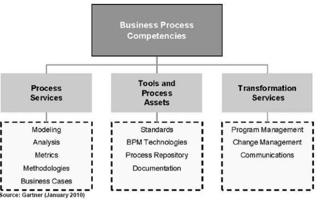 Figura 2.3. Competencias para proceso de negocio (Gartner, 2010). 