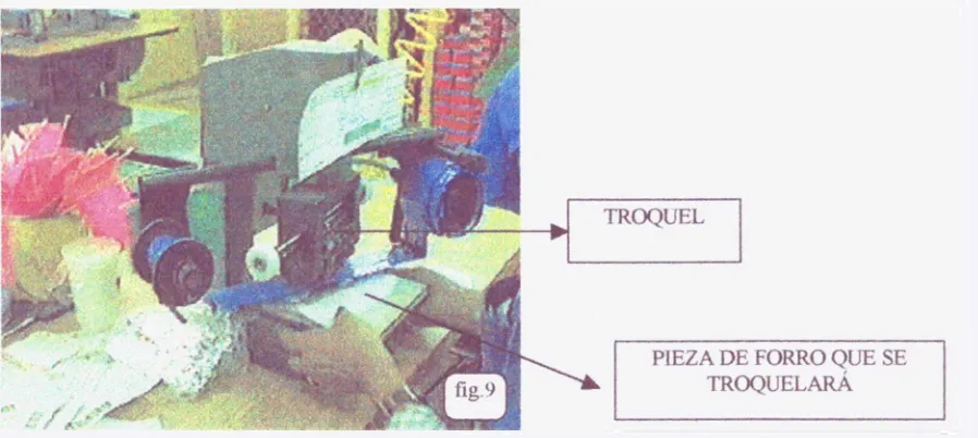 figura  10: 
