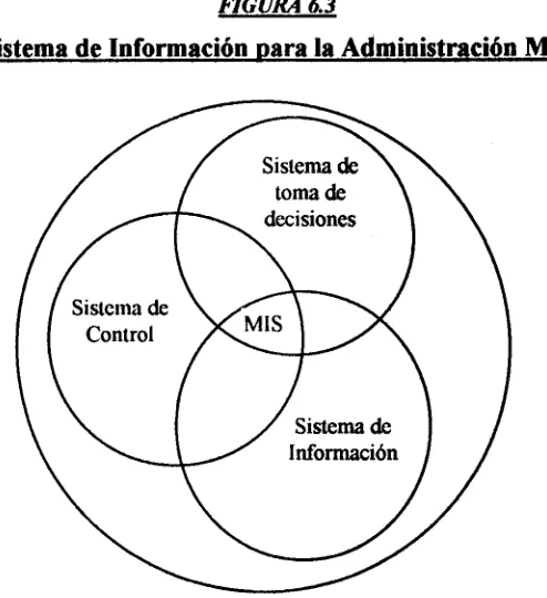 FIGURA 6.3 