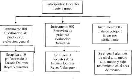 Figura 3. 