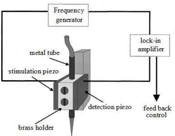 Figure 6. Illustration of the piezoelectric shear-force detection setup. [26] 