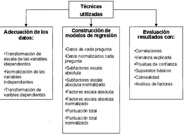 Figura VI.1 Técnicas utilizadas. 