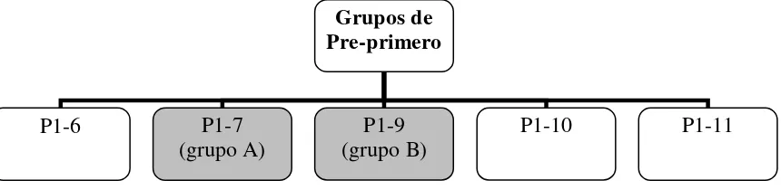 Figura 1 División de grupos  