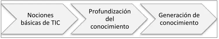 Figura 1. Dimensiones en uso de TIC (UNESCO, 2008). 